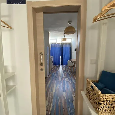 Cristian Delfines 卡门港